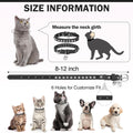 DILLYBUD Leather Cat Collars for Boy Girl Cats with Bell and Safety Elastic Belt, Personalized Rivets Stud Adjustable Safe Buckle Collar with Skull Charm for Kitty Small Pets, Black