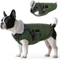 Queenmore Winter Dog Jackets for Medium Dogs with Harness Built-in