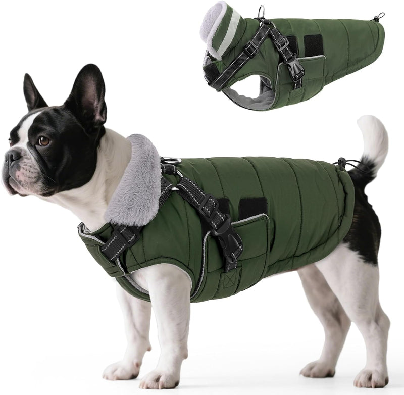 Queenmore Winter Dog Jackets for Medium Dogs with Harness Built-in