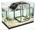 Adjustable Height Turtle Basking Platform Large Turtle Ramp Dock Tortoise Climbing Habitat Dock 50 65 75 90 125 Gallon A
