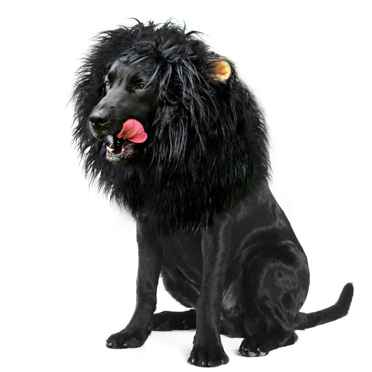 Onmygogo Lion Mane Wig for Dogs with Ears, Funny Pet Costumes for Halloween Christmas