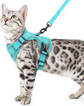Cat Harness and Leash Set, Escape Proof Cat Vest, Turquoise, XL