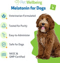 Pet Wellbeing Pet Melatonin for Dogs - Supports Adrenal Health, Cortisol Balance, Helps Maintain Normal Sleep Patterns - Veterinarian-Formulated Liquid Supplement 2 fl oz (59 ml)