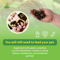 Josh's Frogs Milli Mix Millipede and Isopod Substrate, 2 Quarts