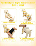 CuteBone Sunflower Pet Surgery Recovery Suit for Small Dogs Cats, Surgical Onesie for Female Pets, Anti-Licking Wound Su