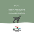 Manna Pro Pro-Force 50 Spot-On Fly Control for Horses, 6 count