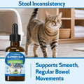 Pet Wellbeing Slippery Elm for Cats - Gut Comfort & Throat Soothing, 2 oz