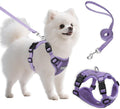 Small Dog Harness and Leash Set, Adjustable Small Sized Pet Vest