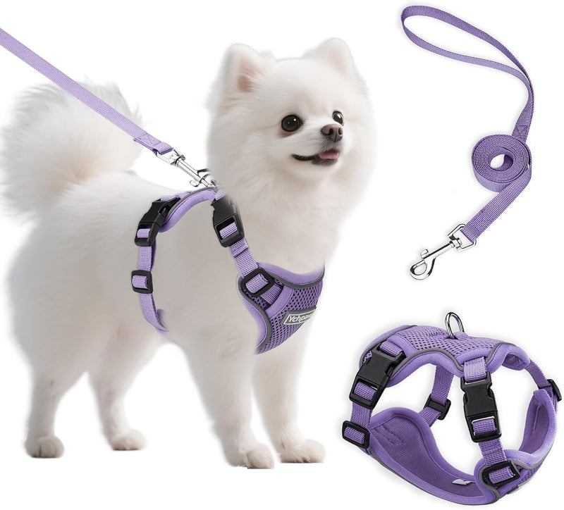 Small Dog Harness and Leash Set, Adjustable Small Sized Pet Vest