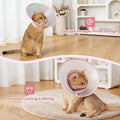 Avont Soft Mesh Cat Cone, Adjustable Anti-Lick E-Collar (Pink S)