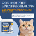 L-Lysine for Cats, Support Immune System, Respiratory, Eye Health