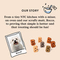 Bocce's Bakery Birthday Cake Flavor Crunchy Biscuits Dog Treats, 5 oz