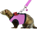 Medium (Pack of 1)/Pink