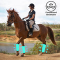 FOXLVDA Horse Fly Boots - Fly Boots for Horses Set of 4, Comfortable Breathable Mesh Equine Leg Leggings, Adjustable & U