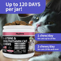 Lysine Supplement for Cats, Cat Treats for Sneezing and Runny Nose, Cold, Cat Immune Support, Eye Function, and Respirat