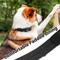 Tactical Dog Collar Heavy Duty Metal Buckle Collars for Medium Large Dogs