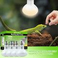 LUCKY HERP 4 Pack 100W Reptile Heat Lamp Bulb (2nd Gen), Amphibian Basking Light Bulb, Reptile Daylight Bulb for Turtle,