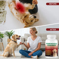 Dog Dewormer with Fenbendazole for Dogs, Broad-Spectrum, Safe for Puppies 6 Weeks & Older, 100 Tablets