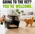 Smokey's Stash Catnip Spray for Cats – Premium Catnip Oil Spray, Maximum Potency Cat Attractant for Toys, Scratchers & Training – Safe for Kittens & Adult Cats (2 oz) Made in USA