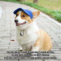 Dog Baseball Cap,Pet Summer Beach Hat,Dog Cat Sunbonnet Cap with Ear Holes,Adjustable Cat Visor for Small Medium Large D