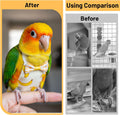Bird Diaper, 6Pcs Reusable Parrot Diapers with Waterproof Inner (Medium)