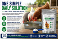 Pivotal Feeds Chick’n Aid Poultry Supplement 8 oz – Electrolytes, Probiotics & Vitamins for Chickens, Ducks & Turkeys | Supports Hydration, Gut Health & Immune Function | Made in USA