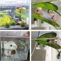 2PCS Aqua Betta Fish Leaf Soft Bed Simulating The Natural Habitat for Betta Spawning Grounds Breeding Resting Bed Betta 