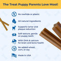 N-Bone Puppy Teething Sticks Variety Pack, Chicken & Pumpkin & Peanut Butter Flavor