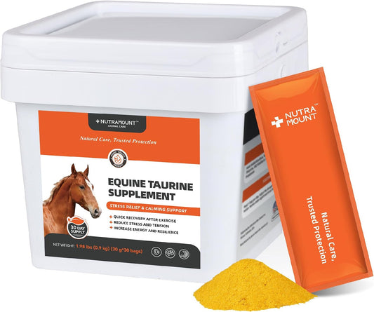 Horse Taurine Supplement Powder for Performance & Nerve Support | Equine Taurine with Magnesium for Focus, Muscle & Stre