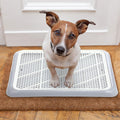 Mifoci 2 Pcs Dog Potty Tray, Mesh Puppy Training Pad