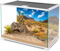 24x12 in Reptile Habitat Background Blue Sky Cactus Desert Tank Backdrop