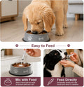 Dewormer for Dogs Fenbendazole Dog Dewormer for Tapeworms, Roundworms, Hookworms and Whipworms