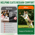 Liquid Collagen for Cats, Cat Joint Supplement for Cat with Bovine Collagens, Biotin & Vitamin C, Mobility & Flexibility, Itch Relief, Skin, Coat & Immunity Support, Cat Joint Supplement for Cats