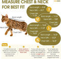 QBLEEV Cat Recovery Suit for Foreleg, Cat Onesie After Surgery for Female Male, Anti Licking Surgical Suit for Spay Neuter, Front Leg Protection with Long Sleeve, Soft Pajamas for Wounds Skin Disease
