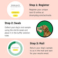 DNA My Dog – Premium Health & Breed Bundle | Breed ID Test (350+ Breeds, 99% Accuracy, Health Test, Age & Wolf DNA) & Al