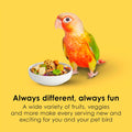 Kaytee Fiesta Conure Food, Nutritious and Fun Blend, Supports Skin, Feather, Digestion, Brain and Heart Health, 4.5 pounds