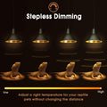 Briignite Reptile Heat Lamp G9 Halogen Heat Bulb Dome Reptile Light Fixture