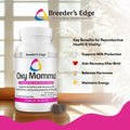 Breeder's Edge Oxy Momma Soft Chews, Postnatal Vitamin Supplement for Lactating Dogs and Cats, Supports Recovery, Hormones, and Next Pregnancy - for Small Dogs & Cats, 40ct Soft Chews