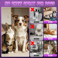 Effectively | Bitter Apple Spray for Dogs, 100ml No Chew Spray for Dogs to Stop Chewing, Preventing Puppies from Damagin