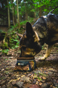 Ruffwear, Quencher Collapsible Dog Bowl, Packable Food & Water Bowl with Waterproof Lining, Water-Resistant Shell, & Reflective Trim, Lightweight, 4.2 Cups (1 L), Coastal Mountains, Medium
