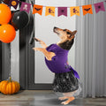 Dog Halloween Outfit Adorable Ruffle Dog Halloween Dress with Elegant Bowknot Tulle Puppy Clothes for Small Medium Dogs 