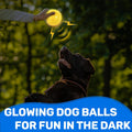 Ousiya 6 Pack 2.5" Light Up Squeaky Dog Balls, Spiky Dog Toy Balls for Puppy Small,Medium Dogs