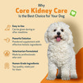 Pet Wellbeing Core Kidney Care for Dogs - Daily Phosphate Binder, 144 g