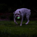 Chuckit! Air Glow Fetch Ball Dog Toy, Medium 2.5in