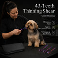 Purple Dragon Dog Grooming Scissors Set - 7 inch Purple Pet Scissors Kit