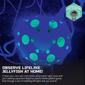 Discovery™ Jellyfish Aquarium Lamp – Color‑Morphing LED Bedroom Night Light with Remote| 15 Light Options| Lifelike Floa