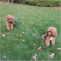 BTINESFUL 12FT 20FT 30FT 50FT Reflective Dog Tie Out for 2 Dogs, Blue, 20ft