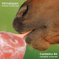 ZK Himalayan Salt Lick for Horses, Livestock– (3-4 lbs) (Pack of 3 Natural Mineral Salt Block for Goats, Cattle & Deer w