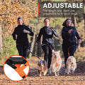 Non-stop dogwear Freemotion Harness 5.0 Dog Pulling Harness for Sports Like Running, Biking and Skiing with Dogs, Profes