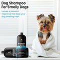 ALFIE'S CHOICE Dog Shampoo and Conditioner Set | 16 fl oz Each | Lavender & Rosemary with Biotin | for Itchy, Dry & Sensitive Skin | Detangling & Moisturizing for All Breeds & Puppies | Made in USA